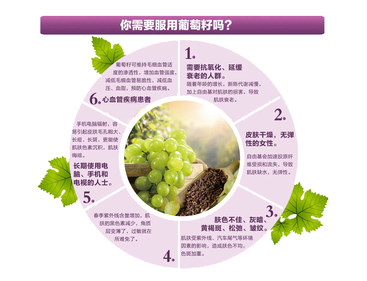 src=http___www.chinazaf.com_imageRepository_58a1c7e1-21d7-4748-8da6-583095031e01.jpg&refer=http___www.chinazaf.jpg